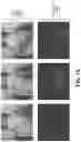 Fig. 08 - Classifying time series image data