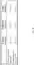 Fig. 47 - Deep convolutional neural networks for variant classification