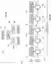 Fig. 03 - Neural architecture search for convolutional neural networks