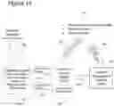 Fig. 19 - Integrated neural network and semantic system