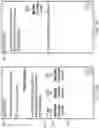 Fig. 06 - CardBot system and associated APIs