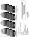Fig. 11 - Systems and Method for Automated Purchase and Receipt of Consumer Motor Fuels for Periods in the Future