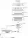 Fig. 07 - Automated field-mapping of account names for form population