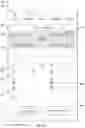 Fig. 04 - Optimizing interfaces for mobile devices