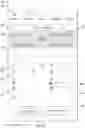 Fig. 07 - Optimizing interfaces for mobile devices