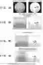 Fig. 04 - Image capturing apparatus, method for controlling same, and storage medium