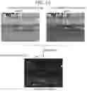 Fig. 12 - Gas detection-use image processing device, gas detection-use image processing method, and gas detection-use image processing program