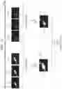 Fig. 17 - Gas detection-use image processing device, gas detection-use image processing method, and gas detection-use image processing program