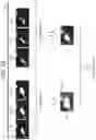 Fig. 22 - Gas detection-use image processing device, gas detection-use image processing method, and gas detection-use image processing program