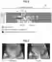 Fig. 07 - Anomalousness determination method, anomalousness determination apparatus, and computer-readable recording medium