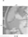 Fig. 24 - Systems and methods for inspecting a microfluidic rotor device