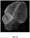 Fig. 19 - Systems and methods for image segmentation