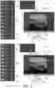 Fig. 03 - Contrast-ratio-based color generation
