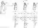 Fig. 01 - Method of generating an image file of a 3D body model of a user wearing a garment
