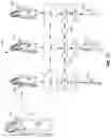 Fig. 12 - Method of generating an image file of a 3D body model of a user wearing a garment