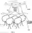 Fig. 09 - Forest surveying