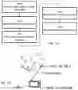 Fig. 12 - Forest surveying