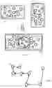 Fig. 17 - Forest surveying