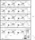 Fig. 01 - FIRE ALARM BUILDING MANAGEMENT INTEGRATION