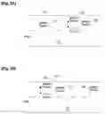 Fig. 03 - Information system, information processing method, and non-transitory storage medium