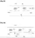 Fig. 04 - Information system, information processing method, and non-transitory storage medium