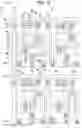 Fig. 15 - ELECTRO-OPTICAL DEVICE AND ELECTRONIC APPARATUS