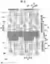 Fig. 08 - Pixel circuit in which a driving transistor is allowed to be on-biased to prevent unintended emission
