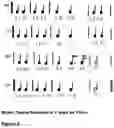 Fig. 03 - Sang Lee's Music Notation System, SALEMN, Maps Out Space-Time Topology of Sound, Enriches Palettes of Colors via Hand-Brush Techniques