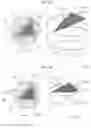 Fig. 10 - Music shaper