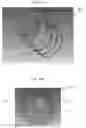 Fig. 12 - Music shaper