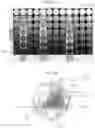 Fig. 15 - Music shaper