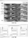 Fig. 17 - Creating a Digital Media File with Highlights of Multiple Media Files Relating to a Same Period of Time
