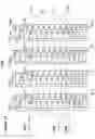 Fig. 12 - Temperature and leakage compensation for memory cells in an analog neural memory system used in a deep learning neural network