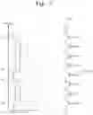 Fig. 08 - Three-dimensional nonvolatile memory and related read method designed to reduce read disturbance