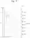 Fig. 09 - Three-dimensional nonvolatile memory and related read method designed to reduce read disturbance