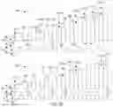Fig. 04 - Programming nonvolatile memory cells through a series of predetermined threshold voltages