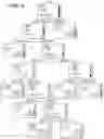 Fig. 09 - METHOD FOR IMPROVING ANTIBODY STABILITY