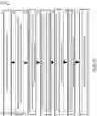 Fig. 06 - SYSTEMS AND METHODS EMPLOYING IMMORTALIZED INDUCED PLURIPOTENT STEM CELLS AS A PLATFORM FOR UNLIMITED LIFETIME GENETIC ANALYSIS