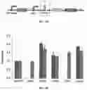 Fig. 08 - Synthetic 5' UTR sequences, and high-throughput engineering and screening thereof