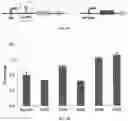 Fig. 09 - Synthetic 5' UTR sequences, and high-throughput engineering and screening thereof
