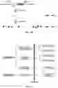 Fig. 12 - Synthetic 5' UTR sequences, and high-throughput engineering and screening thereof
