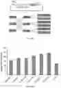 Fig. 20 - Synthetic 5' UTR sequences, and high-throughput engineering and screening thereof