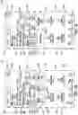 Fig. 16 - INTERFACES DISPLAYING PATIENT DATA
