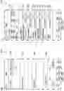 Fig. 22 - INTERFACES DISPLAYING PATIENT DATA