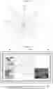 Fig. 19 - Tilting parameters calculating device, sample stage, charged particle beam device, and program