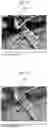 Fig. 12 - Charged particle beam device and image processing method in charged particle beam device