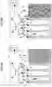 Fig. 03 - Annular member, plasma processing apparatus and plasma etching method