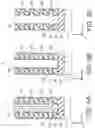 Fig. 05 - Substrate treatment apparatus and method of manufacturing semiconductor device