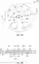 Fig. 04 - Substrate carrier