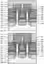 Fig. 11 - Self-aligned vertical fin field effect transistor with replacement gate structure